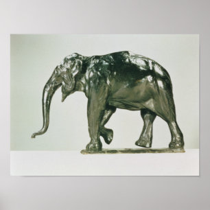 Póster Elefante blanco