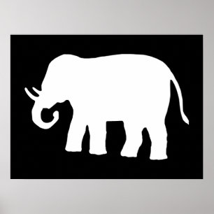 Póster Elefante blanco