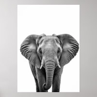Elefante blanco negro moderno