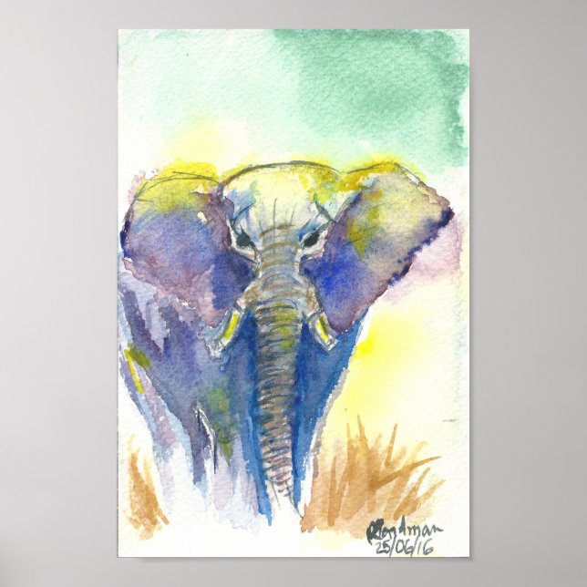 Póster Elefante colorido (Frente)