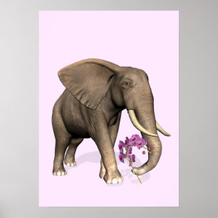 Póster Elefante Con Orquídea Rosa