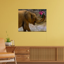 Póster Elefante con Poster de Rosas