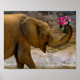 Póster Elefante con Poster de Rosas