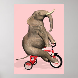 Póster Elefante Cuto Montando Un Triciclo