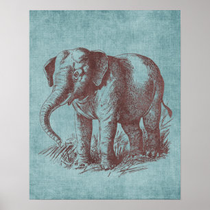 Póster Elefante de bebé ventilado