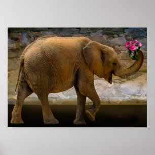 Póster Elefante de la jungla sostiene flores Poster