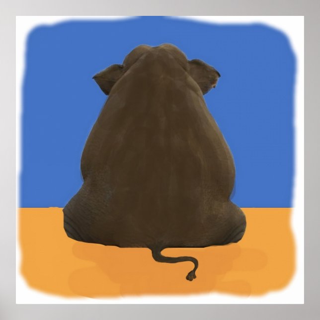 Póster elefante de NCIS en la habitación Niños (Frente)