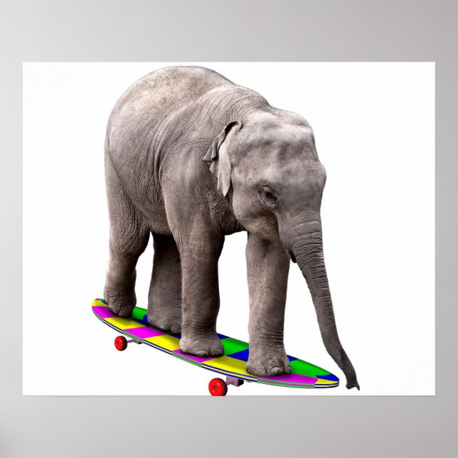 Póster Elefante de patinaje sobre hielo (Frente)