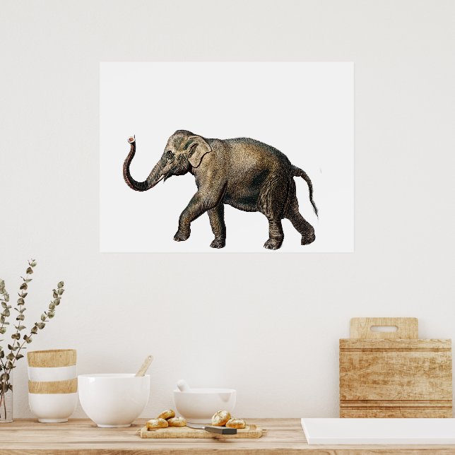 Póster Elefante de vida salvaje (Cocina)