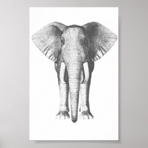 Póster Elefante en blanco y negro