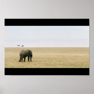 Póster Elefante en el Mara