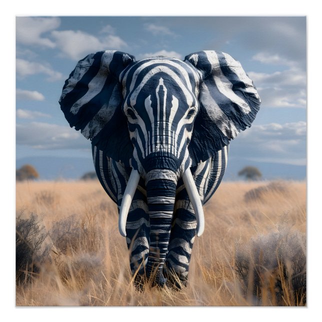 Póster Elefante En Glossia De Disfancia De Zebra (Anverso)