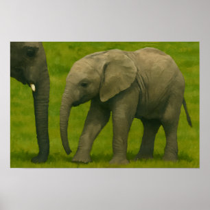 Póster Elefante joven con tutor en reserva de hierba