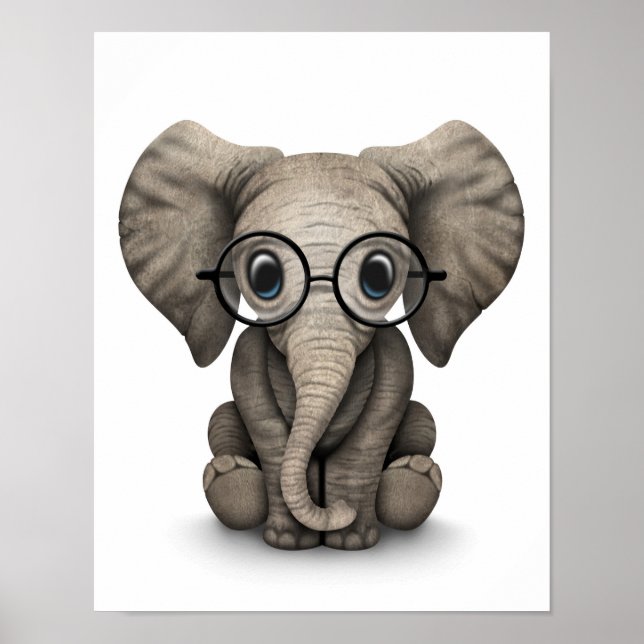 Póster Elefante lindo bebé con lentes de lectura blanco (Frente)