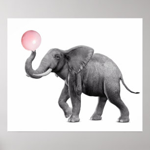 Póster Elefante Lindo Burbujas de Chicle Negro Blanco Gua