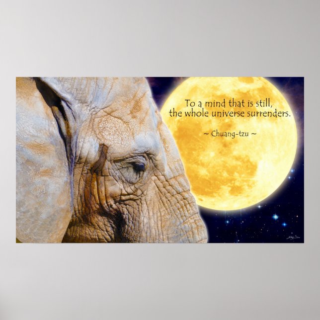 Póster Elefante, Luna y Sabiduría citan a Poster motivado (Frente)