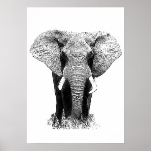 Póster Elefante negro y blanco asiático