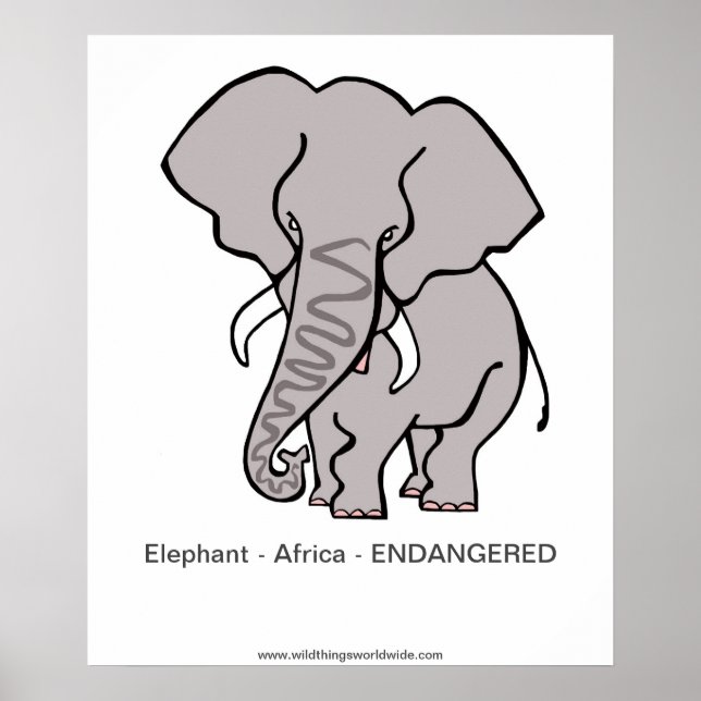 Póster Elefante - poster (Frente)