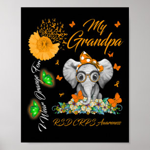Póster Elefante Que Uso Naranja Para Mi Abuelo Rsd Crps A