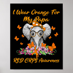 Póster Elefante Que Uso Naranja Para Mi Papá Rsd Crps Awa