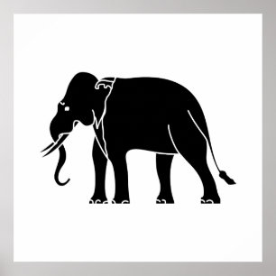 Póster Elefante siamés
