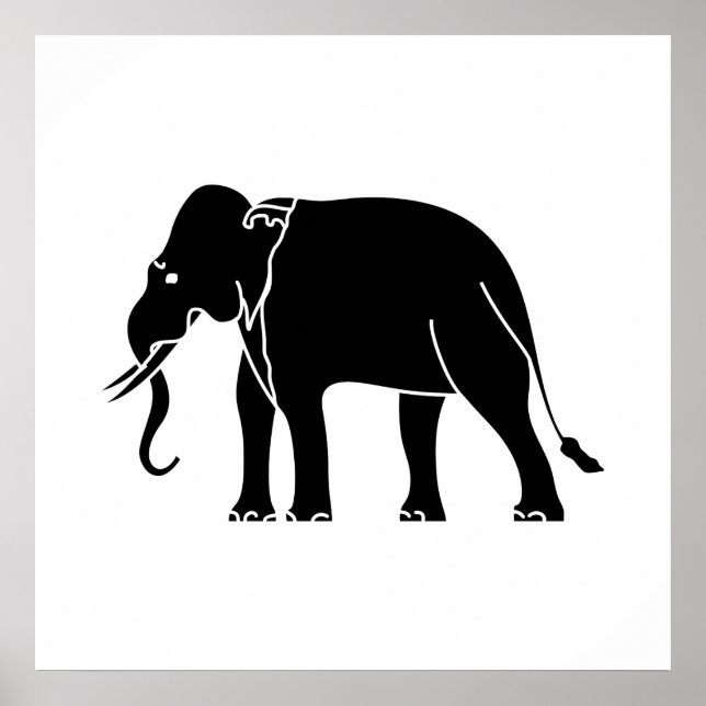 Póster Elefante siamés (Frente)