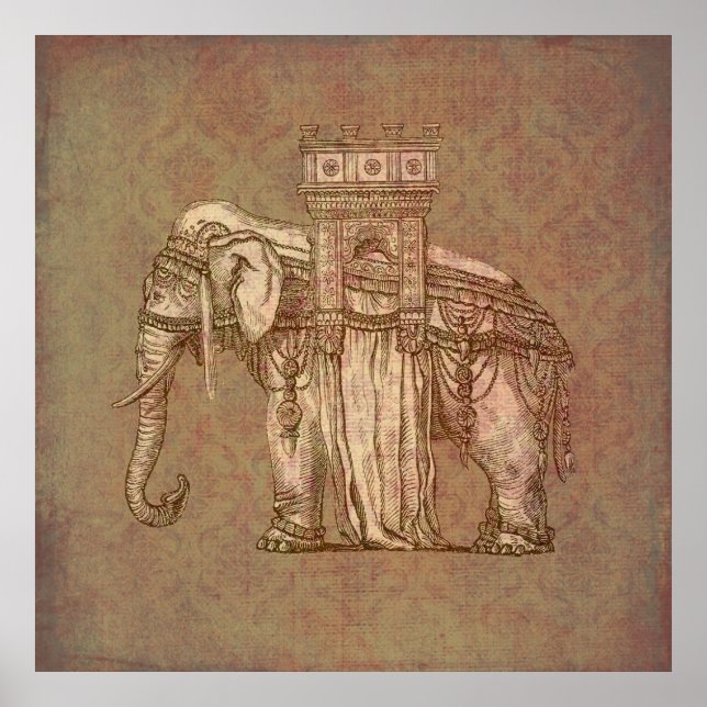 Póster Elefante Vintage (Frente)