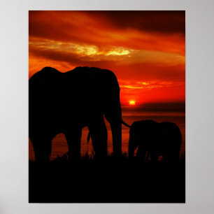 Póster Elefantes al atardecer