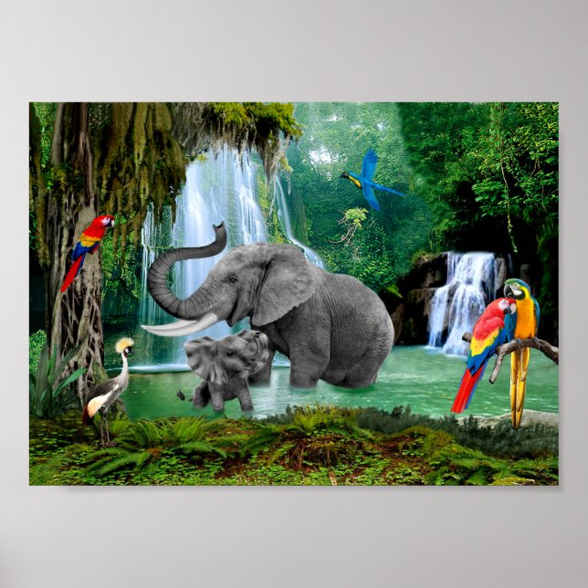 PÓSTER ELEFANTES DEL BOSQUE LLUVIAL (Frente)