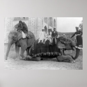 Póster Elefantes en bicicleta en India. Fotografía de Ind