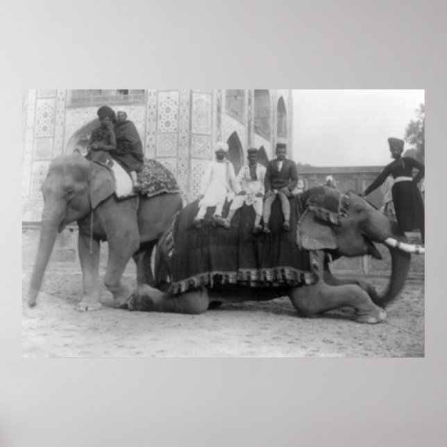 Póster Elefantes en bicicleta en India. Fotografía de Ind (Frente)