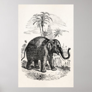 Póster Elefantes personalizados del elefante asiático del