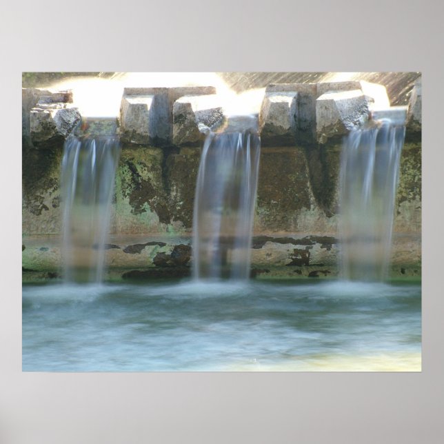 Póster Elegance (Frente)