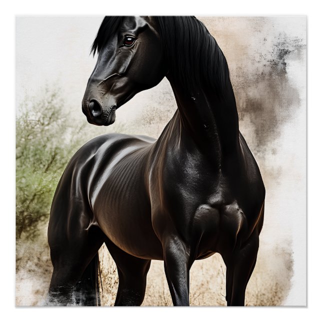 Póster Élégance Ébène (Anverso)