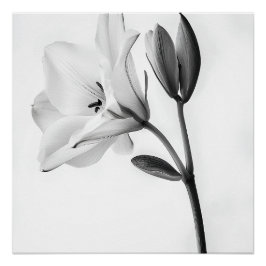 Póster Élégance Florale en Noir et Blanc