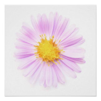 Póster Elegance single flower