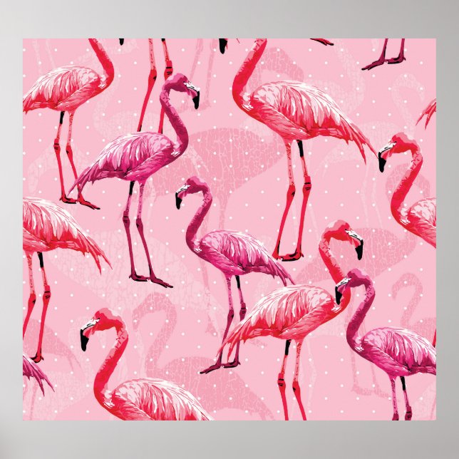 Póster Elegancia De Flamingo: Patrón De Aves Rosa. (Frente)