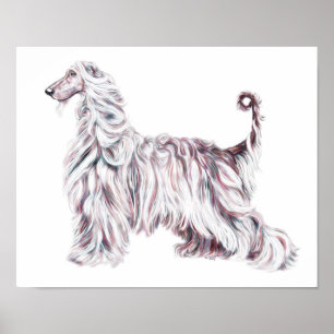 Póster Elegancia de hebilla afgana