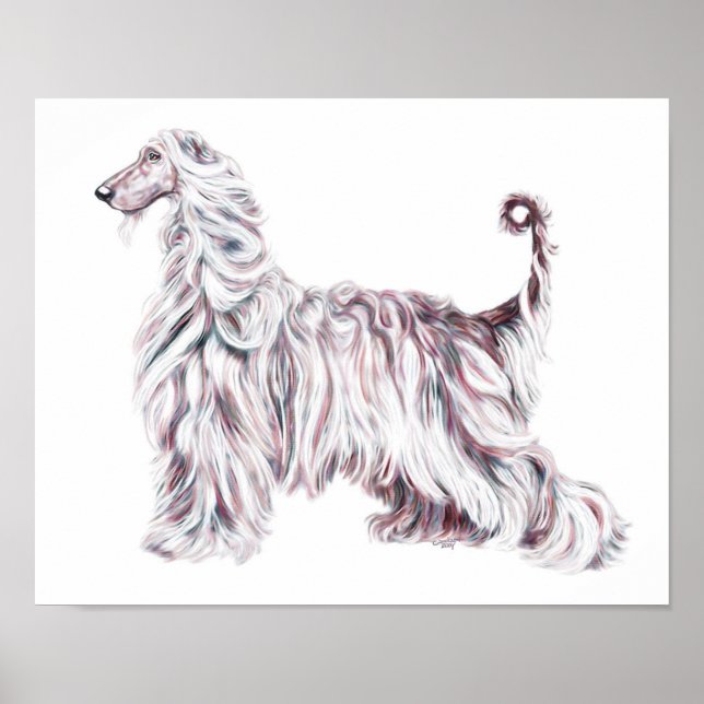 Póster Elegancia de hebilla afgana (Frente)