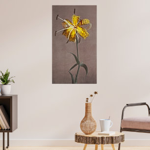 Póster Elegancia eterna: Lily japonesa