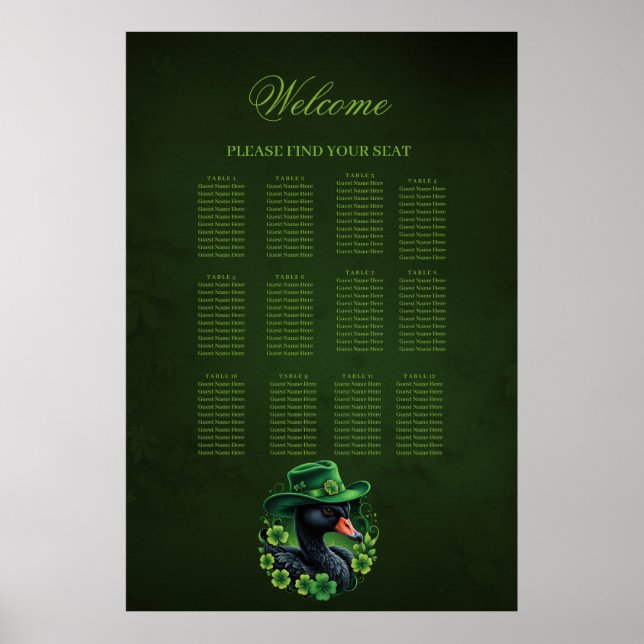 Póster Elegancia irlandesa, el cisne negro de San Patrici (Frente)