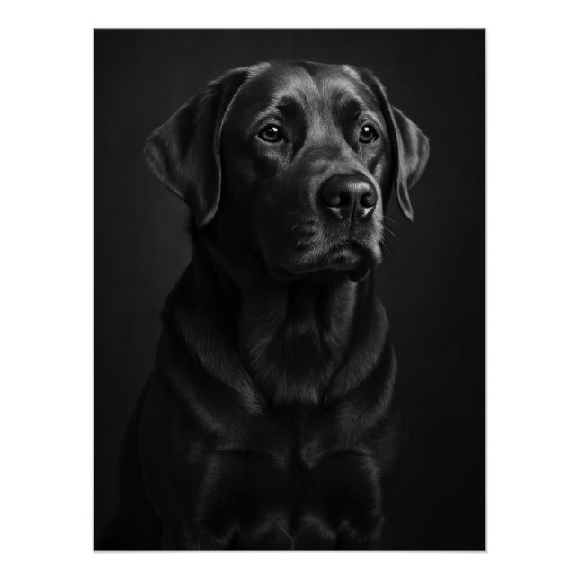 Póster Elegant Black Labrador Portrait - Monochrome Dog (Anverso)