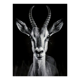 Póster Elegant Black & White Gazelle Fine Art Photo