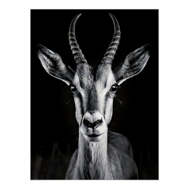 Póster Elegant Black & White Gazelle Fine Art Photo (Anverso)