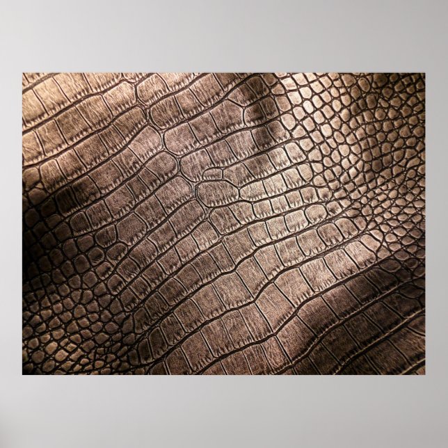 Póster Elegant leather pattern close up. (Frente)