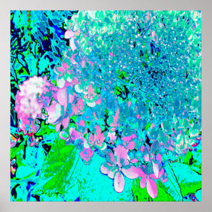 Póster Elegant Pink and Blue Limelight Hydrangea