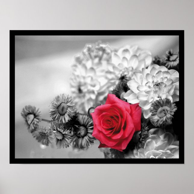 Póster Elegant Red Rose (Frente)