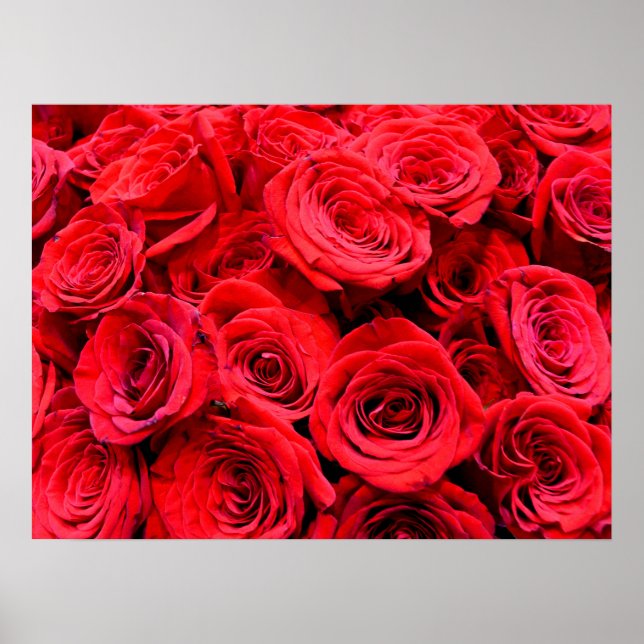 Póster Elegant red roses red flowers red floral (Frente)
