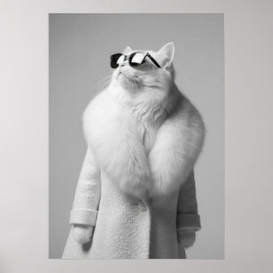 Póster Elegant White Cat in Fur Collar Coat Sunglasses