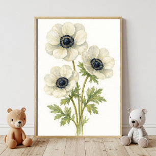 Póster Elegante Anemone Blanco Floral Agua Botánica